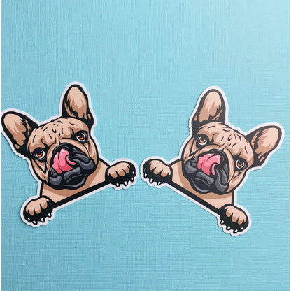 Peeking French Bulldog Sticker 4” x 4” Brown Peeking Bulldog with Paws Frenchie Sticker