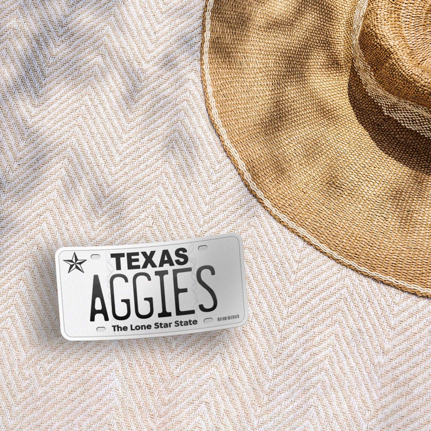 Texas License Plate Sticker - Choose from 50+ TX Cities