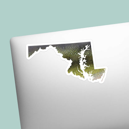 Largemouth Bass Maryland Fishing Sticker