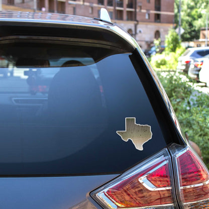 Catfish Texas Fishing Sticker