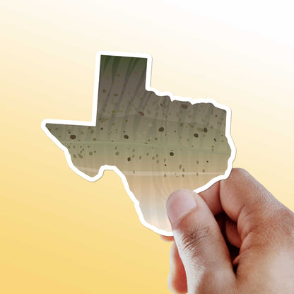 Catfish Texas Fishing Sticker