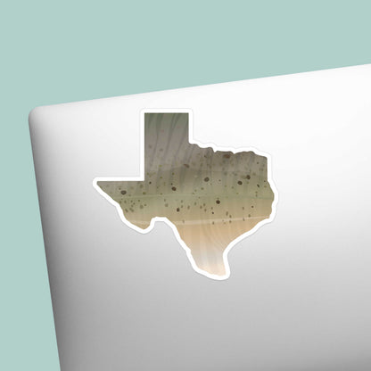 Catfish Texas Fishing Sticker