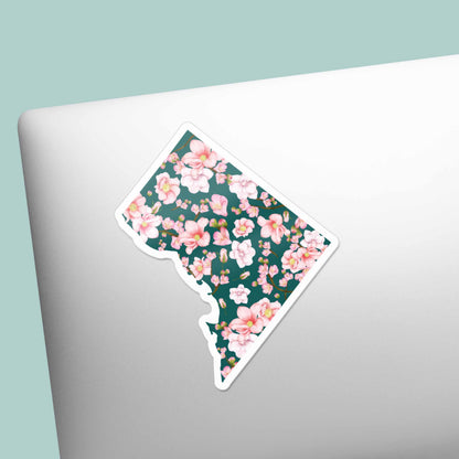 Cherry Blossom Washington DC Sticker