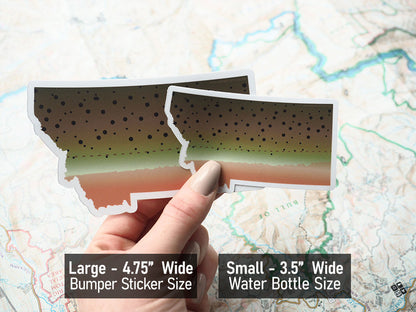 Cutthroat Trout Montana Fishing Sticker