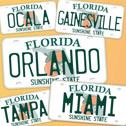 Florida License Plate Stickers - Choose Your FL City or National Park Decal