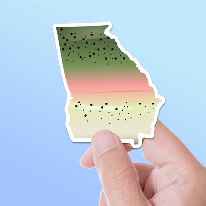 Rainbow Trout Georgia Sticker - GA Fishing Decal