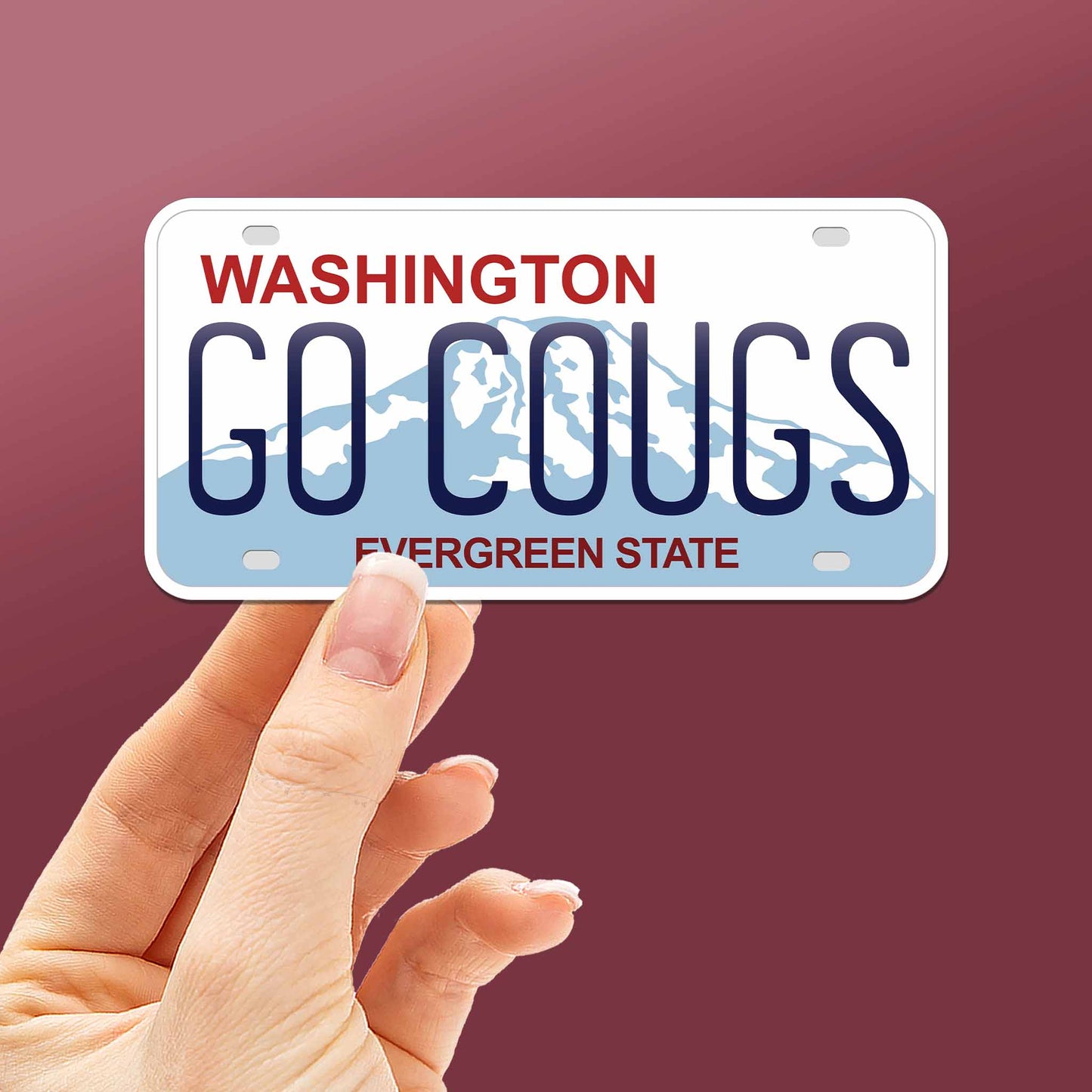Washington License Plate Stickers - Choose From 20+ WA Cities