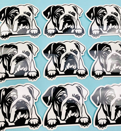 English Bulldog Peeking Paws Sticker