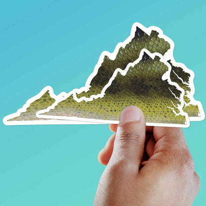 Largemouth Bass Virginia Fishing Sticker