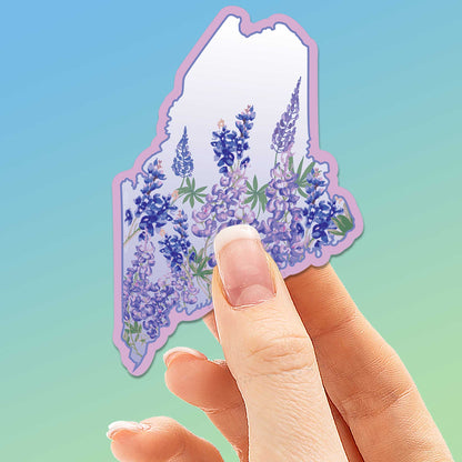 Maine Lupine Sticker