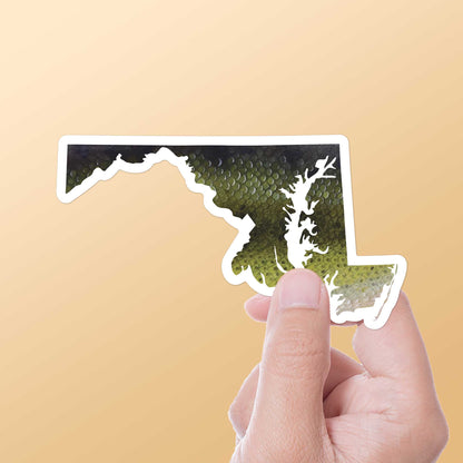 Largemouth Bass Maryland Fishing Sticker