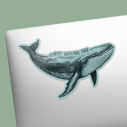 Olympic National Park Humpback Whale Sticker