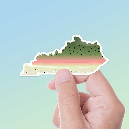 Rainbow Trout Kentucky Sticker - KY Fishing Decal