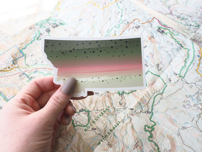 Rainbow Trout Montana Fishing Sticker