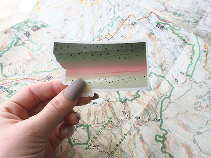 Rainbow Trout Montana Fishing Sticker