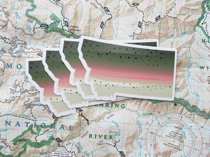 Rainbow Trout Montana Fishing Sticker