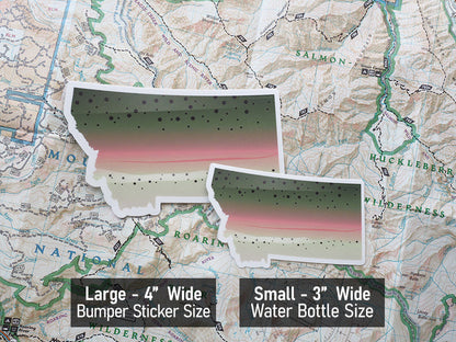 Rainbow Trout Montana Fishing Sticker