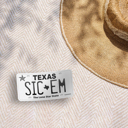 Texas License Plate Sticker - Choose from 50+ TX Cities