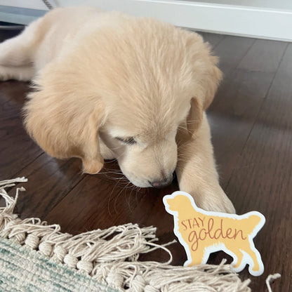 Stay Golden - Cute Golden Retriever Dog Sticker