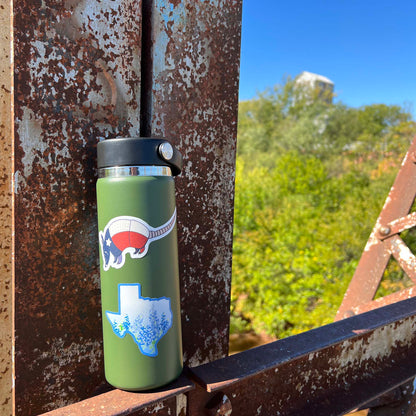 Texas Armadillo Sticker