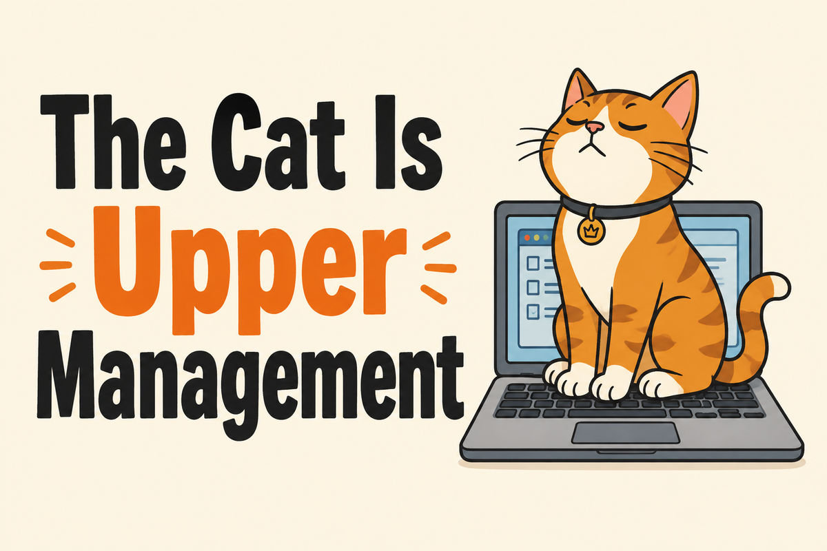 The Cat Is Upper Management rectangular sticker with cat sitting on laptop