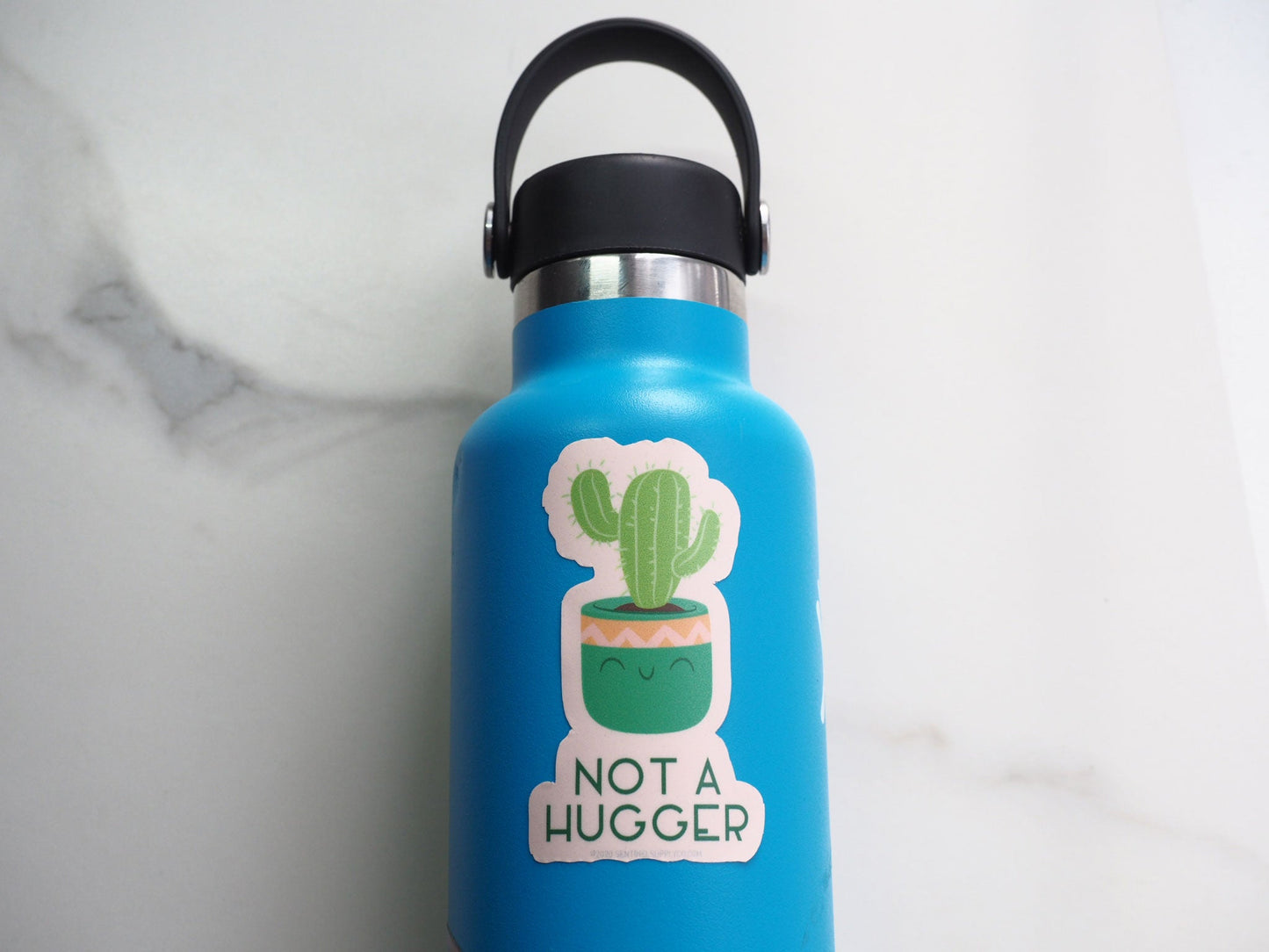A Little Prickly Cute Cactus Sticker