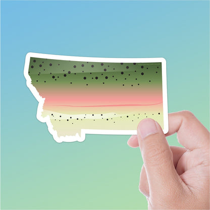 Rainbow Trout Montana Fishing Sticker
