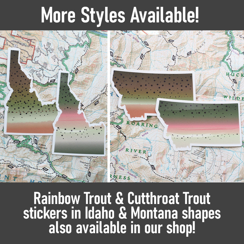 Rainbow Trout Montana Fishing Sticker